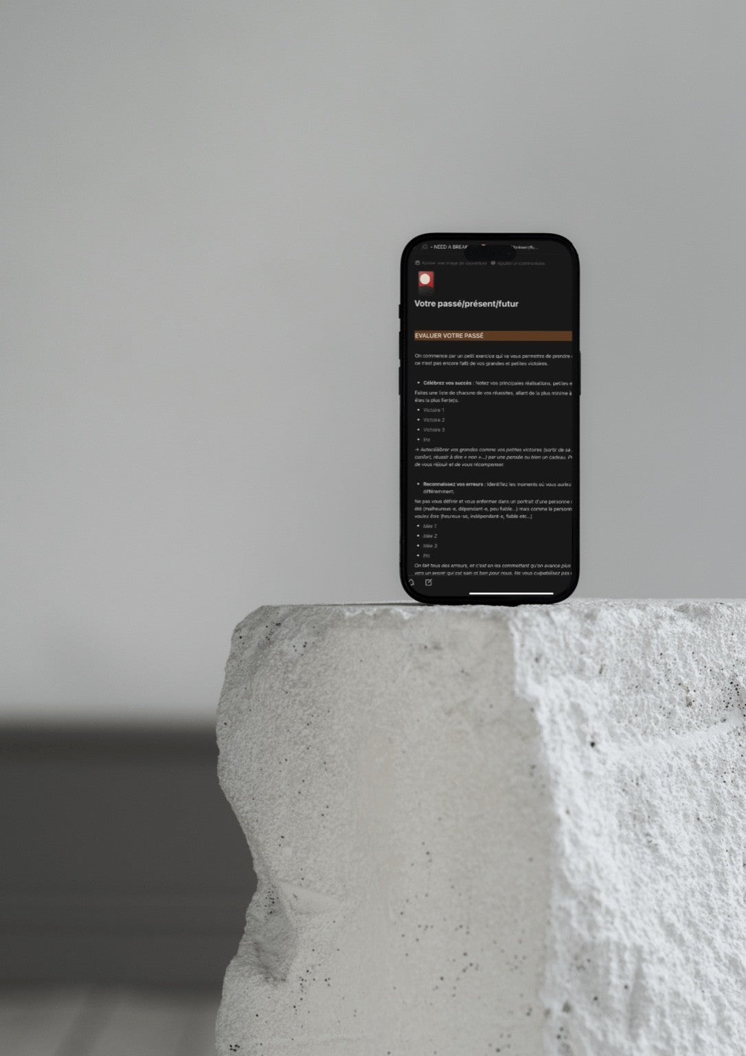 Guide Introspectif – Dossier Notion (11 modules)